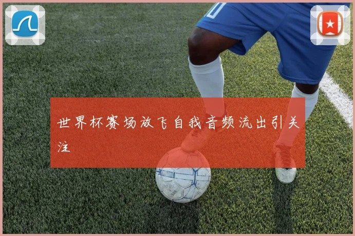 世界杯赛场放飞自我音频流出引关注