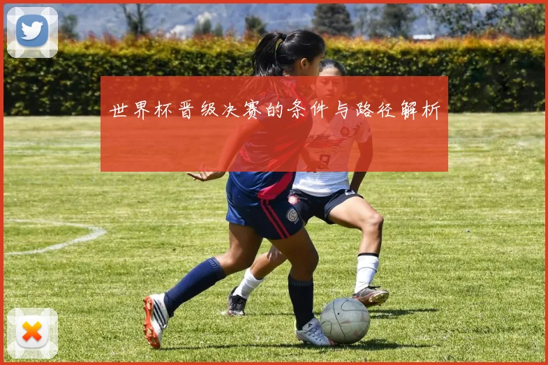 世界杯晋级决赛的条件与路径解析