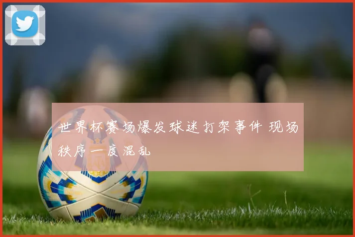 世界杯赛场爆发球迷打架事件 现场秩序一度混乱