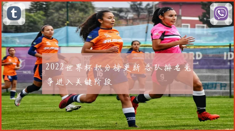 2022世界杯积分榜更新 各队排名竞争进入关键阶段