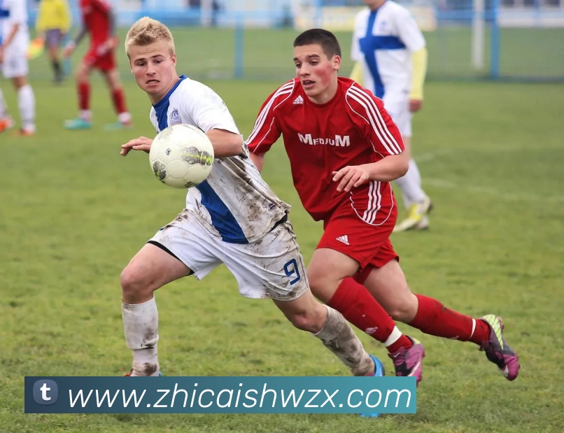 多媒体互动体验